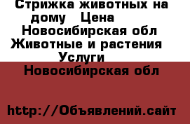 Стрижка животных на дому › Цена ­ 700 - Новосибирская обл. Животные и растения » Услуги   . Новосибирская обл.